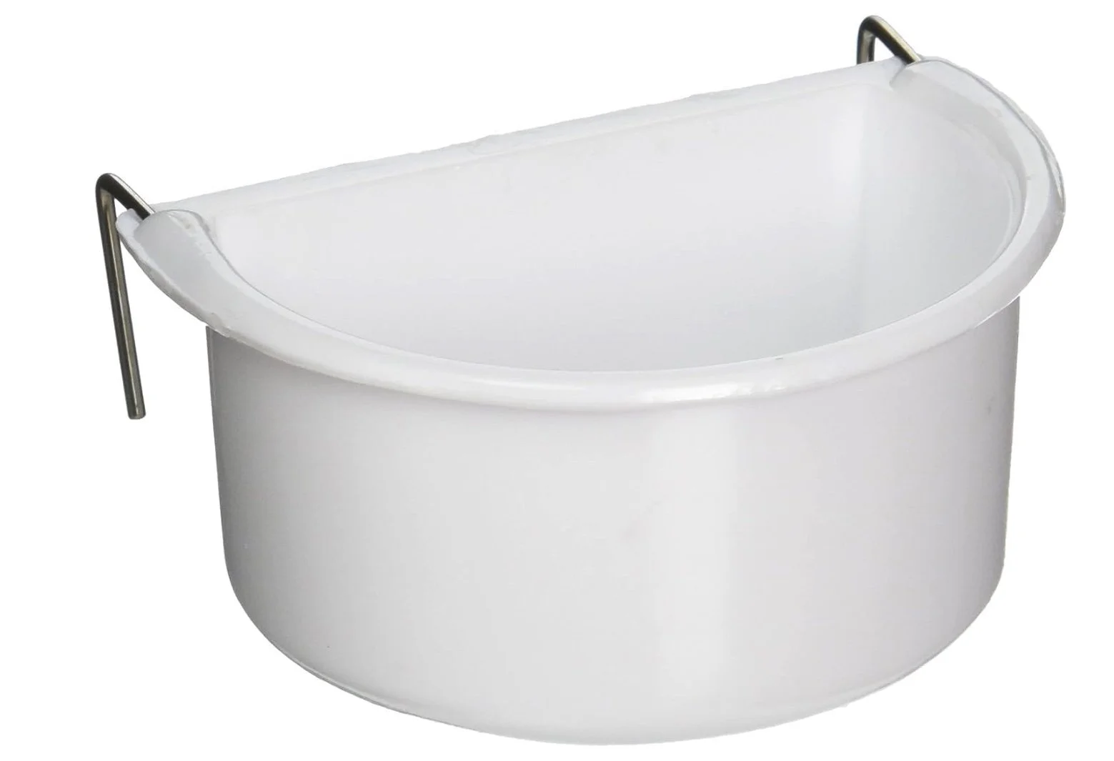 How do you feed a pet chameleon? — Neptune the Chameleon